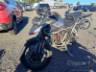 2025 TRIUMPH TIGER 