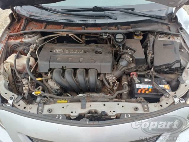 2010 TOYOTA COROLLA 