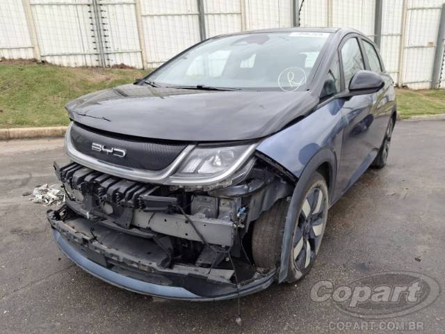2025 BYD DOLPHIN 