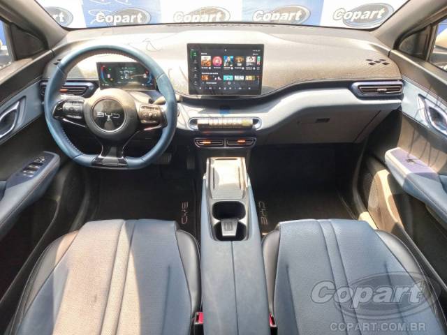 2025 BYD DOLPHIN MINI 