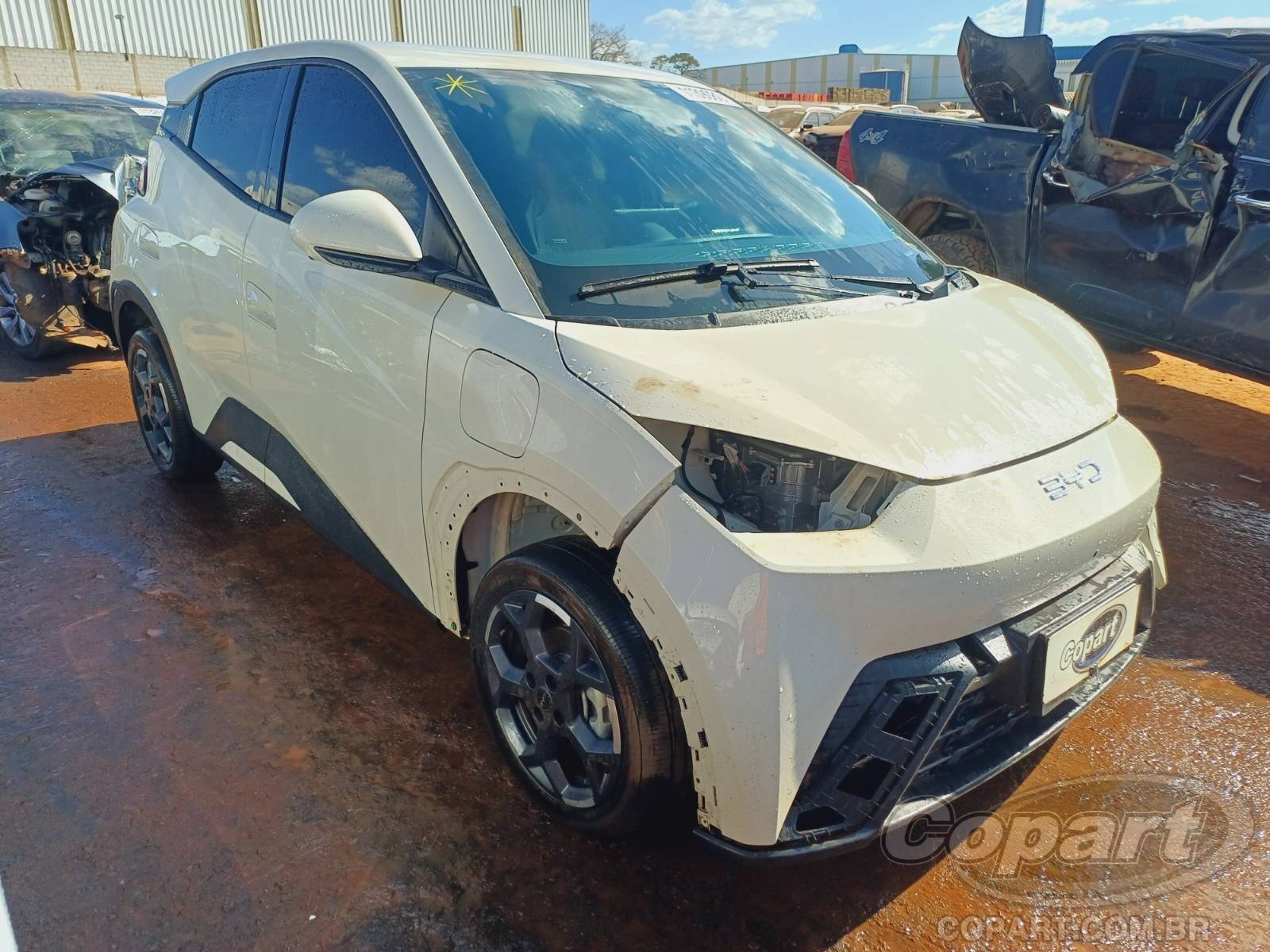 2026 BYD DOLPHIN MINI