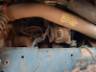 2013 FORD CARGO 2429 