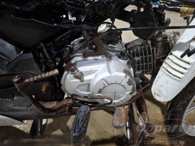 2023 HONDA POP 