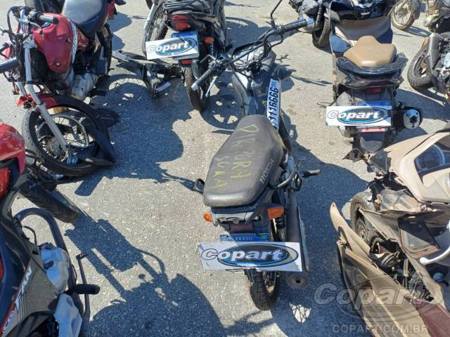 2023 HONDA POP 