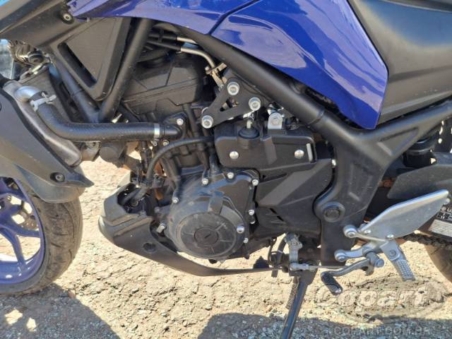 2024 YAMAHA MT-03 