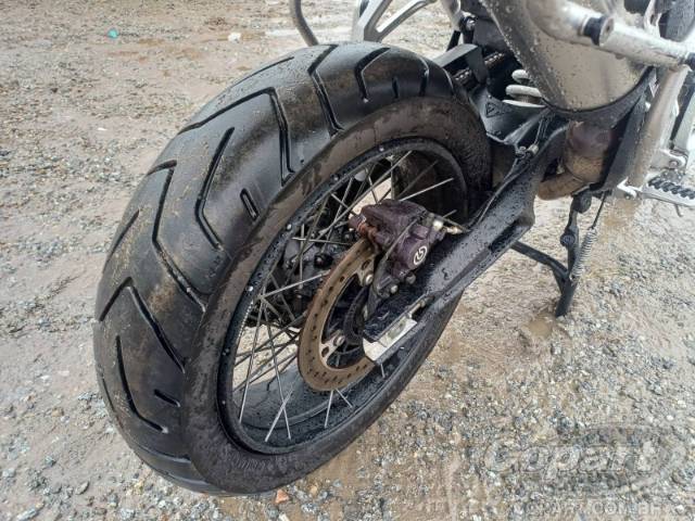 2024 TRIUMPH TIGER 