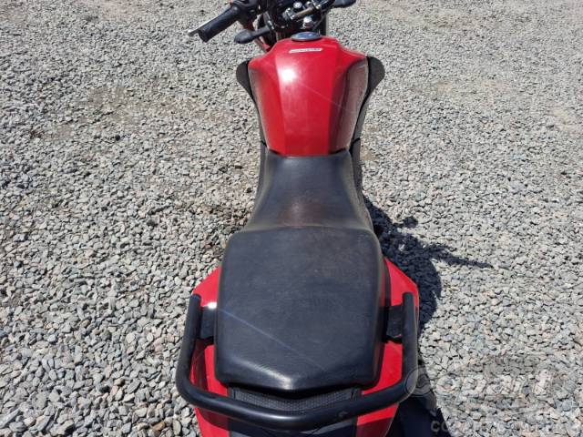 2024 YAMAHA YBR 150 FACTOR 