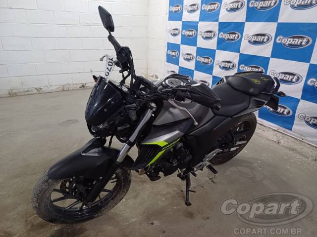 2024 YAMAHA FZ25 FAZER 