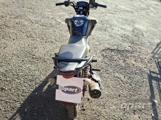 2025 YAMAHA FACTOR 