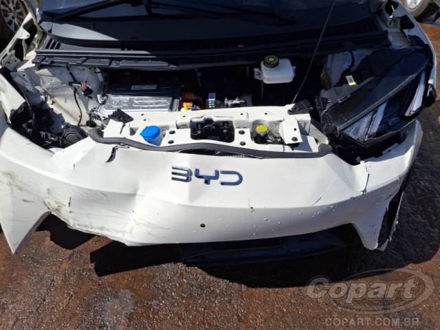 2025 BYD DOLPHIN MINI 