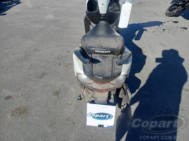 2026 HONDA ELITE 