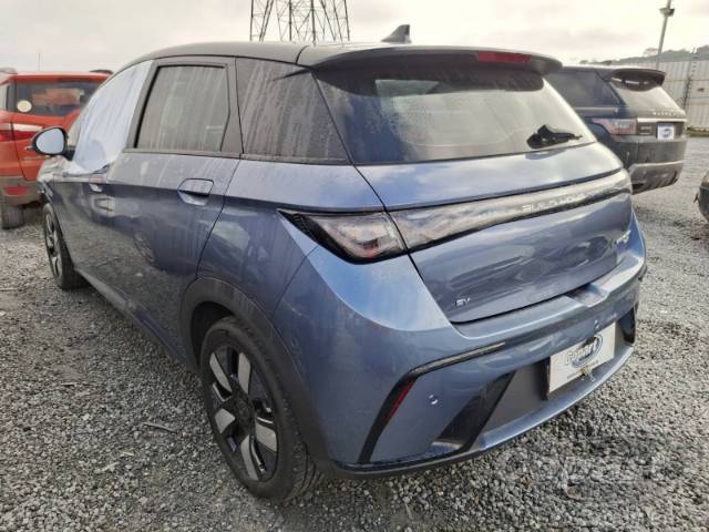 2025 BYD DOLPHIN 