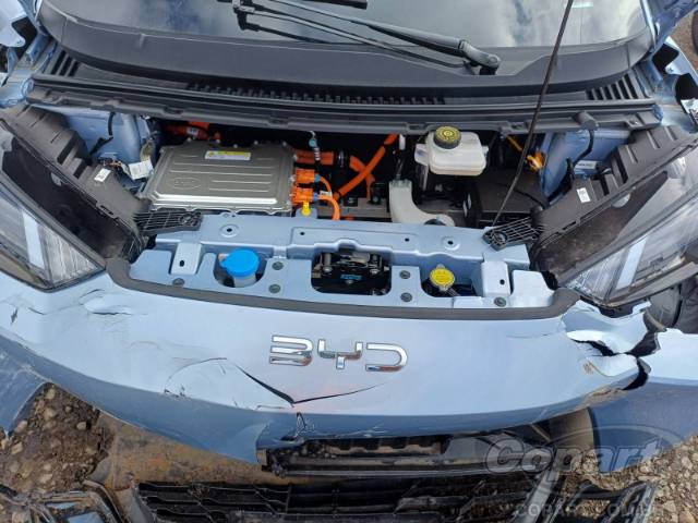 2027 BYD DOLPHIN MINI 