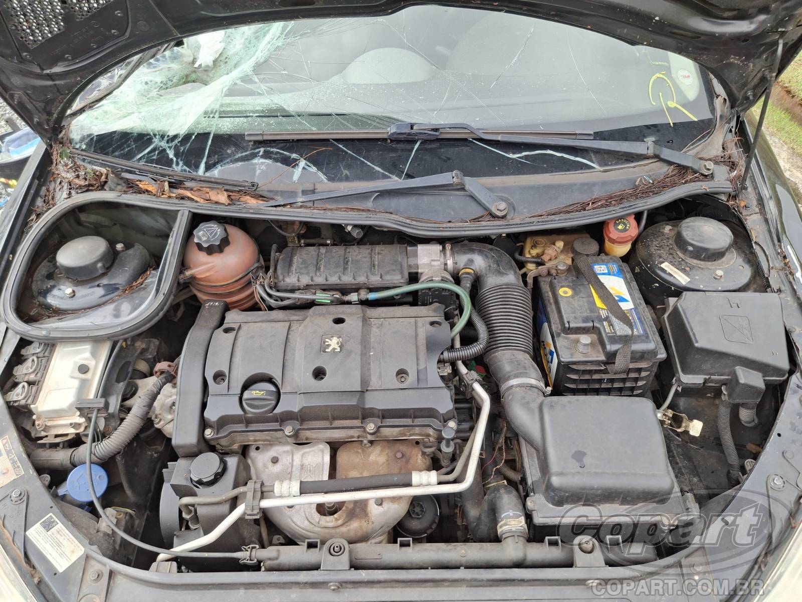 Foto 7 de 12: 2008 PEUGEOT 206 SW