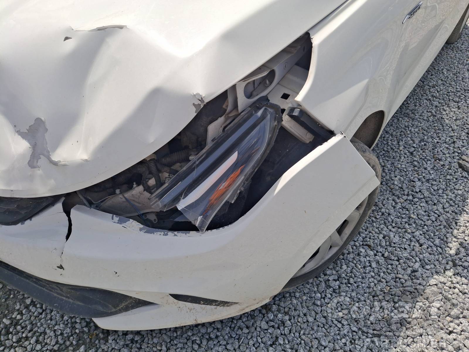 Foto 11 de 11: 2020 FIAT ARGO