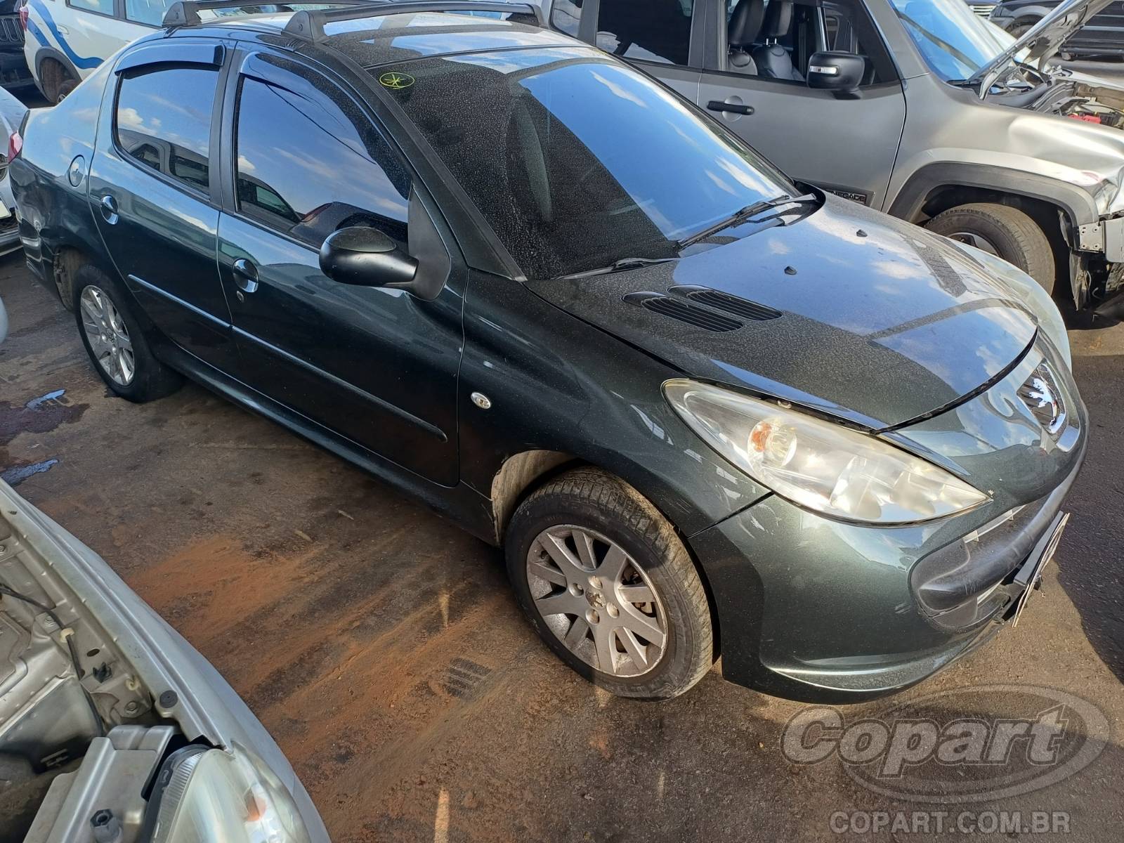 Peugeot 207 Passion 1.4 Flex