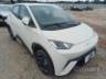2026 BYD DOLPHIN MINI 