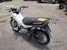 2015 HONDA POP 100 