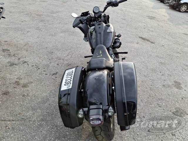 2025 HARLEY-DAVIDSON SOFTAIL 