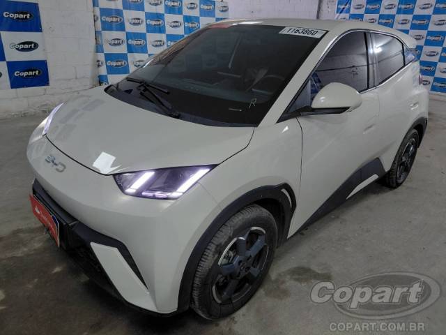 2025 BYD DOLPHIN MINI 