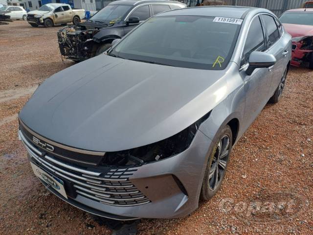 2025 BYD KING 