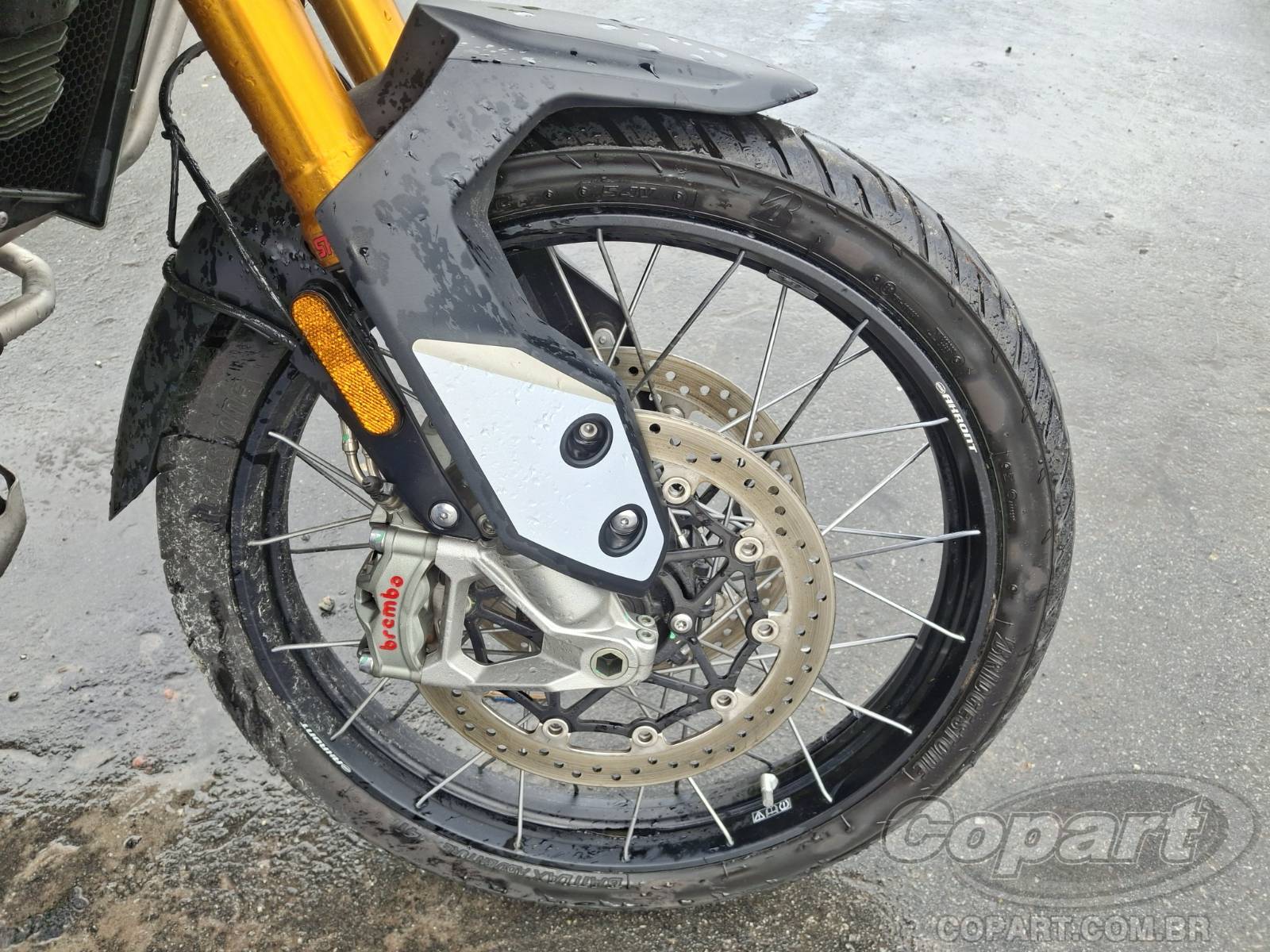 Foto 8 de 10: 2023 TRIUMPH TIGER