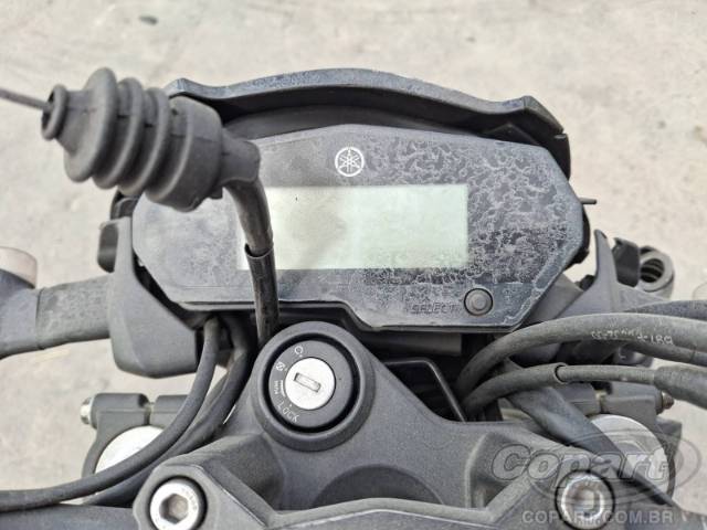 2024 YAMAHA FZ25 FAZER 