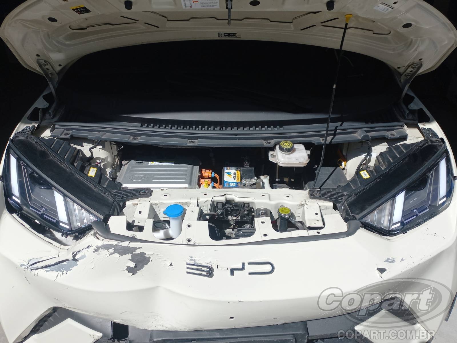 2025 BYD DOLPHIN MINI — foto 7 de 10