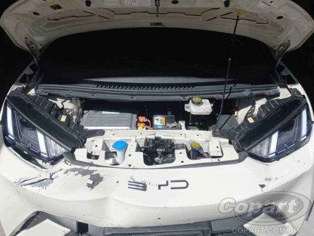 2025 BYD DOLPHIN MINI 