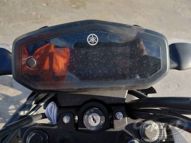 2025 YAMAHA FACTOR 