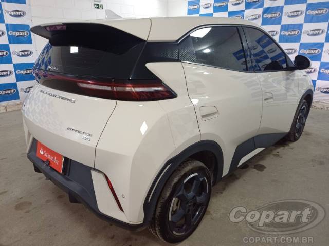 2025 BYD DOLPHIN MINI 