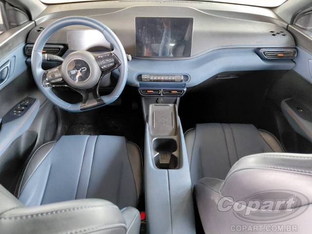 2025 BYD DOLPHIN MINI 