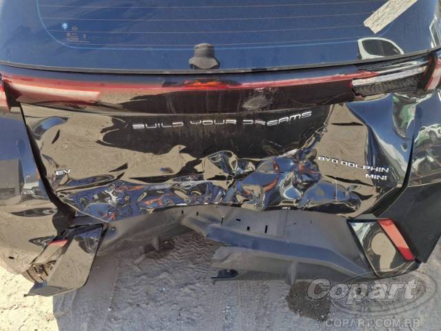 2025 BYD DOLPHIN MINI 