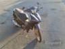 2020 HONDA BIZ 