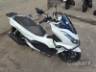 2024 HONDA PCX 