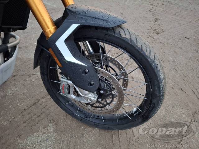 2025 TRIUMPH TIGER 