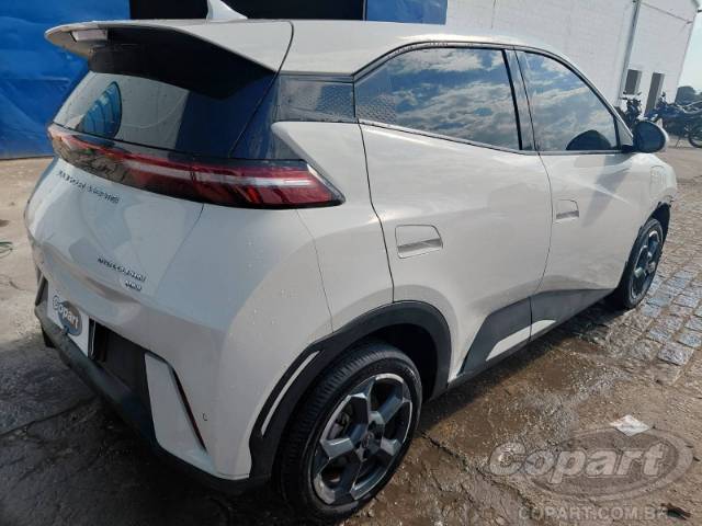 2025 BYD DOLPHIN MINI 
