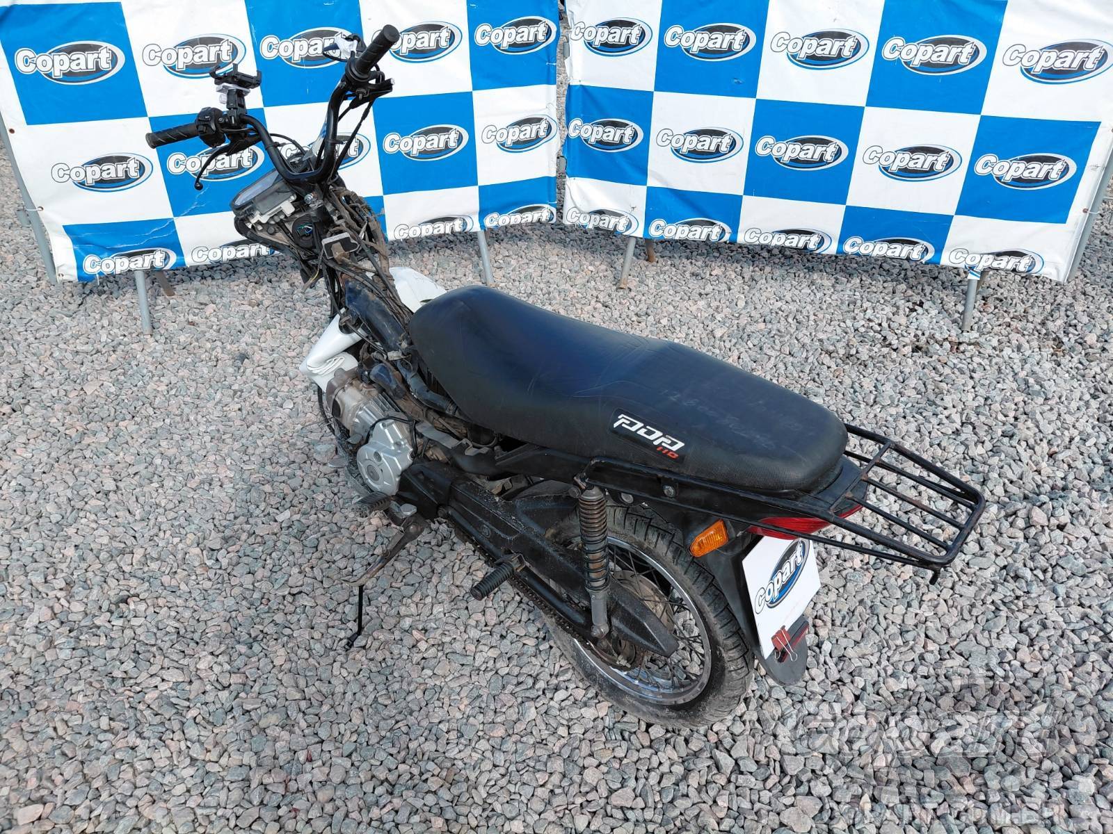 Foto 3: 2021 HONDA POP
