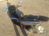 2019 HONDA PCX 