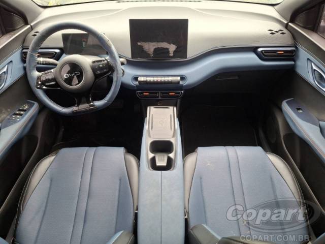 2025 BYD DOLPHIN MINI 