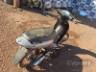 2006 HONDA BIZ 125 