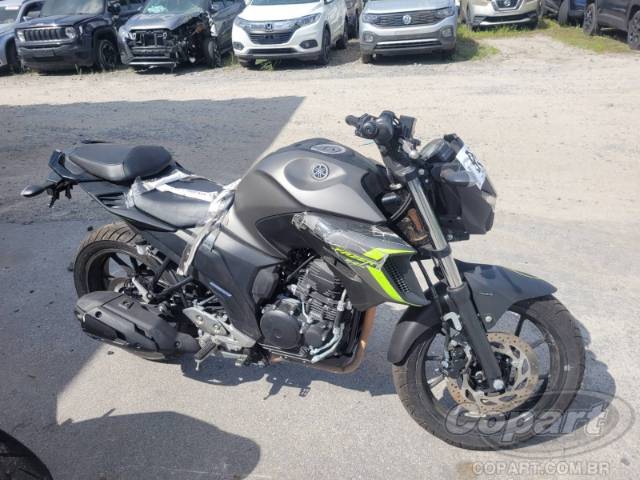 2024 YAMAHA FZ25 FAZER 