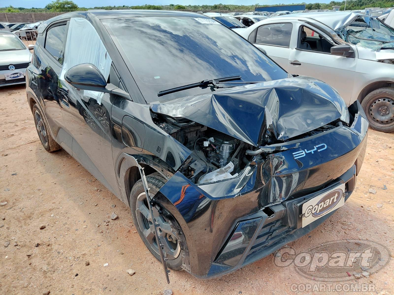BYD Dolphin Mini 2025