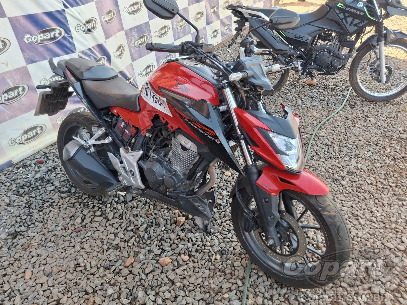 HONDA CB 300F 2023