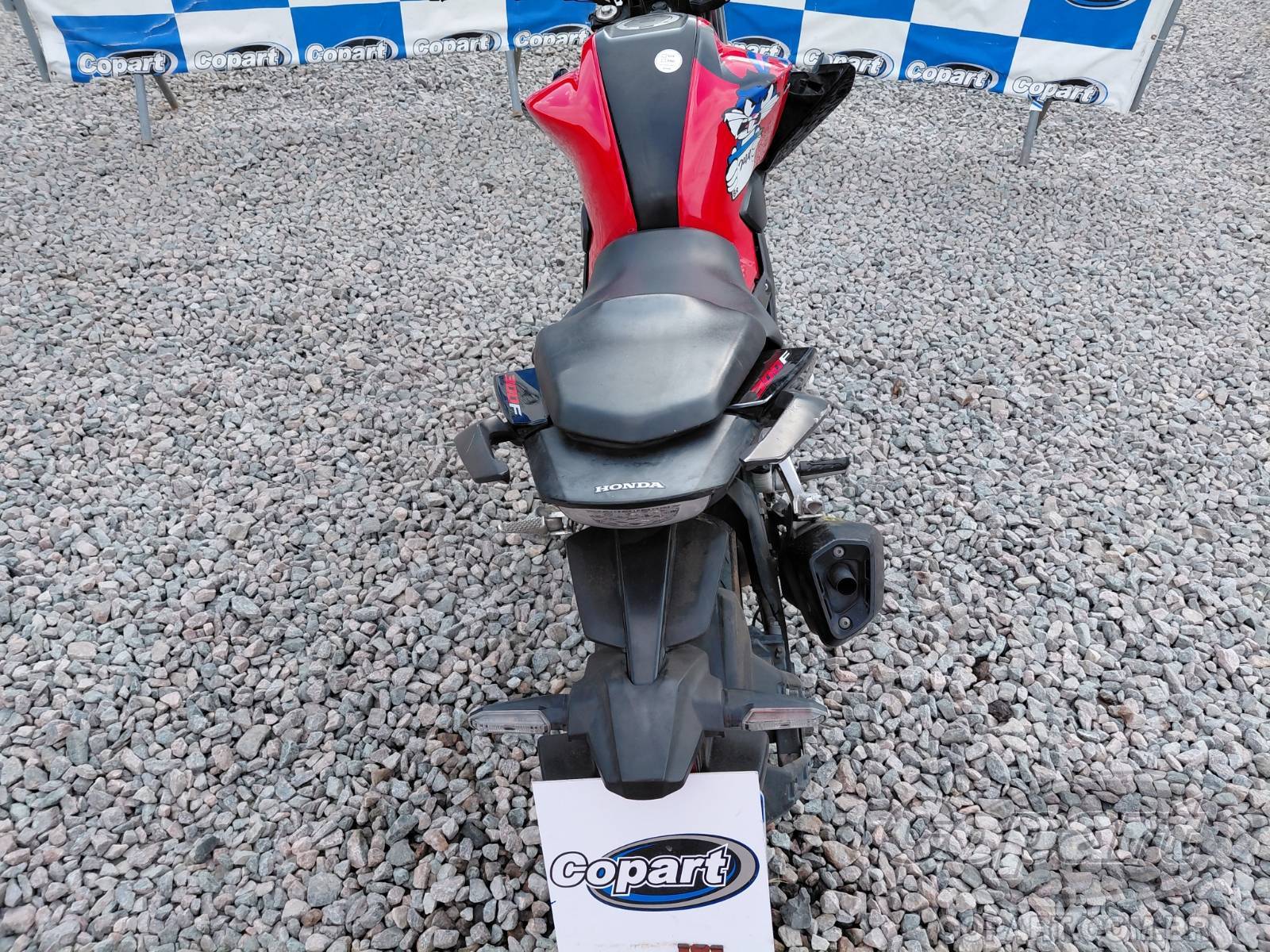 2024 HONDA CB 300F — foto 10 de 10