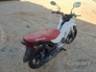 2027 HONDA POP 
