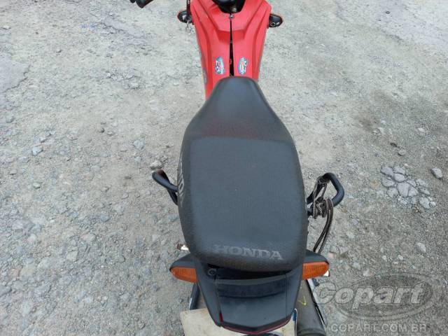 2021 HONDA POP 