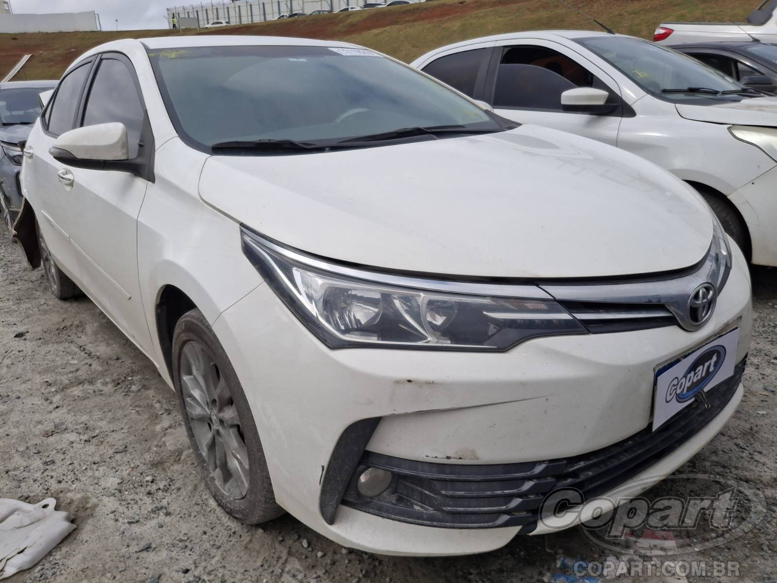 Toyota Corolla 2019