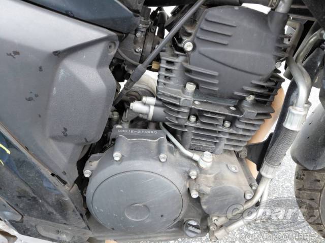 2024 YAMAHA FZ25 FAZER 
