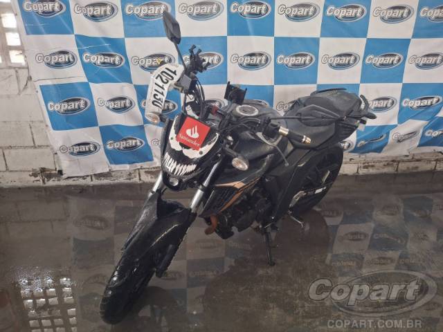 2024 YAMAHA FZ25 FAZER 